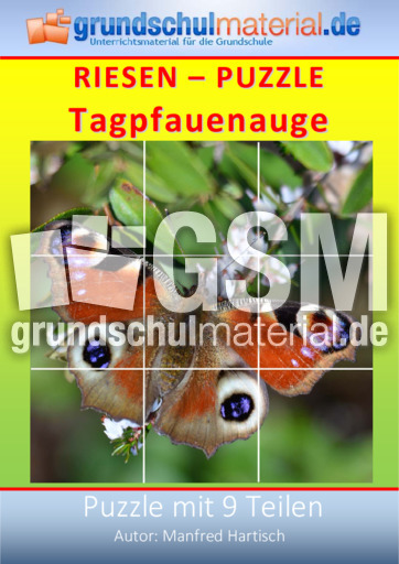 Riesenpuzzle_Tagpfauenauge.pdf